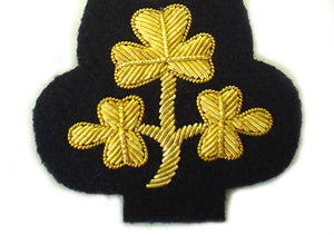 Irish Deputy Lord Lieutenant Cap Badge (4344131911752)